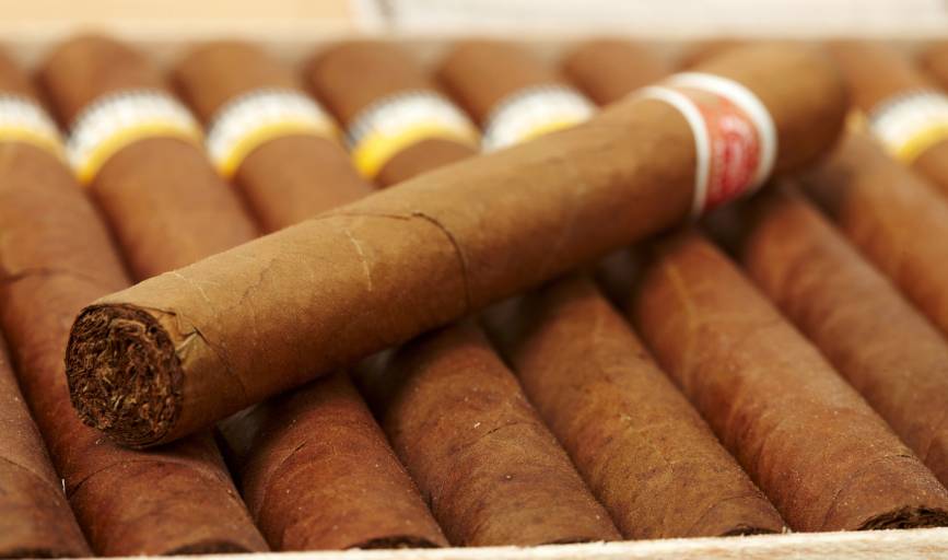 Cigars